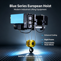 Nouvelle palan électrique européen standard FEM avec chariot à câble métallique, conception à faible hauteur de plafond pour les opérations de pont-rail en usine et atelier