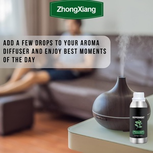 Số Lượng Lớn Ăn Được Bạc Hà 100% Hương Thơm Tinh Khiết Tinh Dầu Bạc Hà Bán Buôn Tự Nhiên Các Loại Tinh Dầu Hữu Cơ - Product Image 3