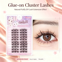 Large Capacity Tray Lash Clusters Glue on Type DIY Home Philippines Reusable Segmented Individual Lash <strong>Extensions</strong> for Reseller
