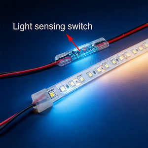 8mm Mini Fotodirenç Işık Algılama Modülü Işık Sensörü Switch12V Otomatik Sokak Lambası Kontrol Cihazı Gündüz Gece Sensörü Lamba için - Product Image 2