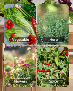 ระบบปลูกพืชแบบแอโรโปนิกส์และไฮโดรโปนิกส์ 13 ชั้น พร้อมปั๊ม |   หอปลูกพืชแนวตั้งมาตรฐานสหภาพยุโรปสำหรับการเกษตรเชิงพาณิชย์ - Product Image 6