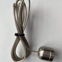 Équipement d'élevage bovin à aimants puissants pour le rumen, instrument vétérinaire pour l'élevage des bovins