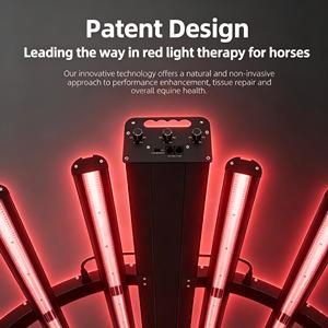 Lampe LED infrarouge professionnelle <span class=keywords><strong>REDL</strong></span> pour écurie équine, thérapie par lumière rouge 660nm 850nm, en alliage d'aluminium, étanche - Product Image 6