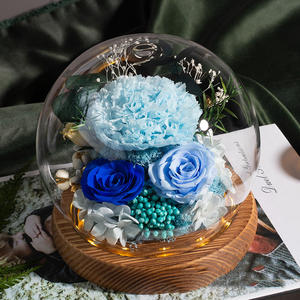 Ayoyo ของขวัญสำหรับแม่คนรักคนรักที่ดีที่สุดสำหรับเพื่อนที่รักดอกไม้กุหลาบที่เก็บรักษาไว้2026ของขวัญวันวาเลนไทน์ - Product Image 5