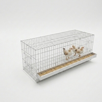 Cage à volailles carrée ondulée pour la protection de la santé des animaux, avec service de découpe, 3 niveaux, 96 oiseaux, facile à nettoyer, galvanisée