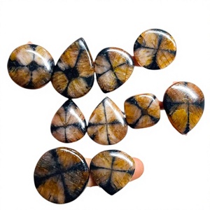 FAIJAN GEMS Cabujones de Chaistolita Natural de Alta Demanda con Buen Patrón, Gemas Sueltas Únicas en Todas las Formas y Tamaños, Pulidas para Joyería - Product Image 1
