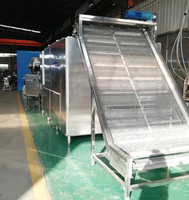 Automatische 10 ton per dag op maat gemaakte continue transportband droogmachine voor fruit en groenten