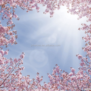 Papier peint de décoration de la maison 3D, pièces, plafond, ciel de forêt, quatre saisons - Product Image 5