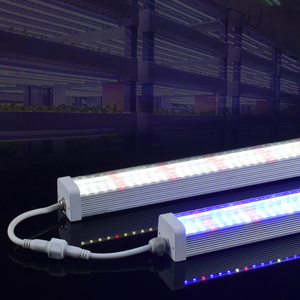Fresa fruta <span class=keywords><strong>uva</strong></span> flor agricultura 600/1200/1500MM impermeable tipo 150 grados T12 accesorio espectro completo Led Grow Li - Product Image 2
