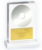 Prix sur base acrylique Trophées acryliques en forme de flamme Médailles en métal Médailles personnalisées Trophée commercial en acrylique Médailles et plaques