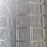 Géogrille composite en fibre de verre à résistance personnalisée pour le renforcement des ponts et travaux d'ingénierie