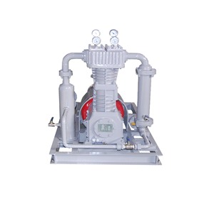 Selección del fabricante para la adquisición de un compresor de cloruro de metilo BT4 para el proceso de refuerzo. - Product Image 2