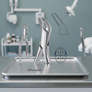 Professional Manufacturer Stainless Steel Made Milwaukee Extraction Forceps Basis Surgical Instruments Dental Use <b>Tools</b> - Product Image 3