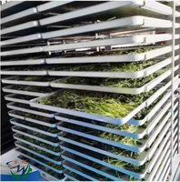 Kleine roestvrijstalen elektrische vriesdroogmachine vacuümlabvriesdroger voor fruit, voedsel, groenten, hoge efficiëntie, energiezuinig