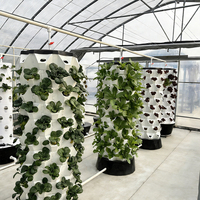 Systèmes hydroponiques en tour verticale, équipement de culture intérieur facile à installer pour les herbes, les légumes et les plantes d'intérieur