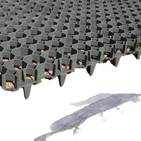 Grille en herbe HDPE recyclée de style industriel, grille en herbe efficace pour le contrôle de l'érosion et l'aménagement paysager des parcs