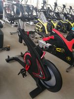 Vélo d'intérieur professionnel en acier avec résistance magnétique et capacité de charge de 200 kg pour l'exercice à domicile