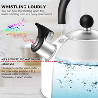 Bouilloire à eau Portable Rechargeable en acier inoxydable, vente directe d'usine