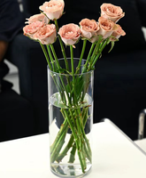 Vase Cylindrique Créatif Nordique en Acrylique – Écologique, Durable, Décoration de Centre de Table, Mini Vases de Luxe Transparents pour Plantes