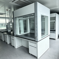 Table de laboratoire avec hotte d'extraction intégrée, armoire de ventilation de laboratoire résistante aux acides et aux alcalis pour les opérations en laboratoire