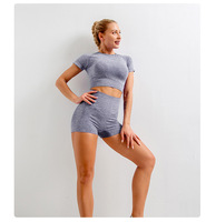 5 Pièces En Gros Vêtements de Sport pour Femmes Ensemble de Gymnastique et Tenues de Yoga Sans Couture