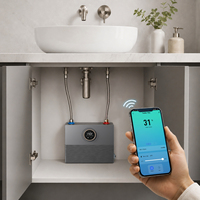 Chauffe-eau électrique instantané sans réservoir avec vanne de régulation de débit, connectivité Wi-Fi intelligente, compact, à installer sous comptoir, chauffe-eau instantané type Geyser