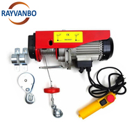 Nouvelle mini palan électrique à câble Rayvanbo, couleur de coque personnalisée, IP54, capacité de levage 1000 kg, chariot à palettes, grue à pont, fabrication métallique, fabriqué en Chine, CE