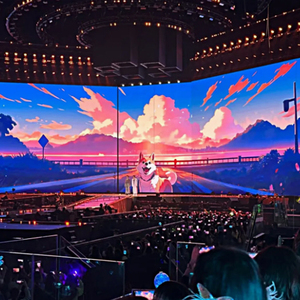 จอ LED ให้เช่าแบบเต็มสีสำหรับเวที งานแต่งงาน และการแสดงเคลื่อนที่ - Product Image 2