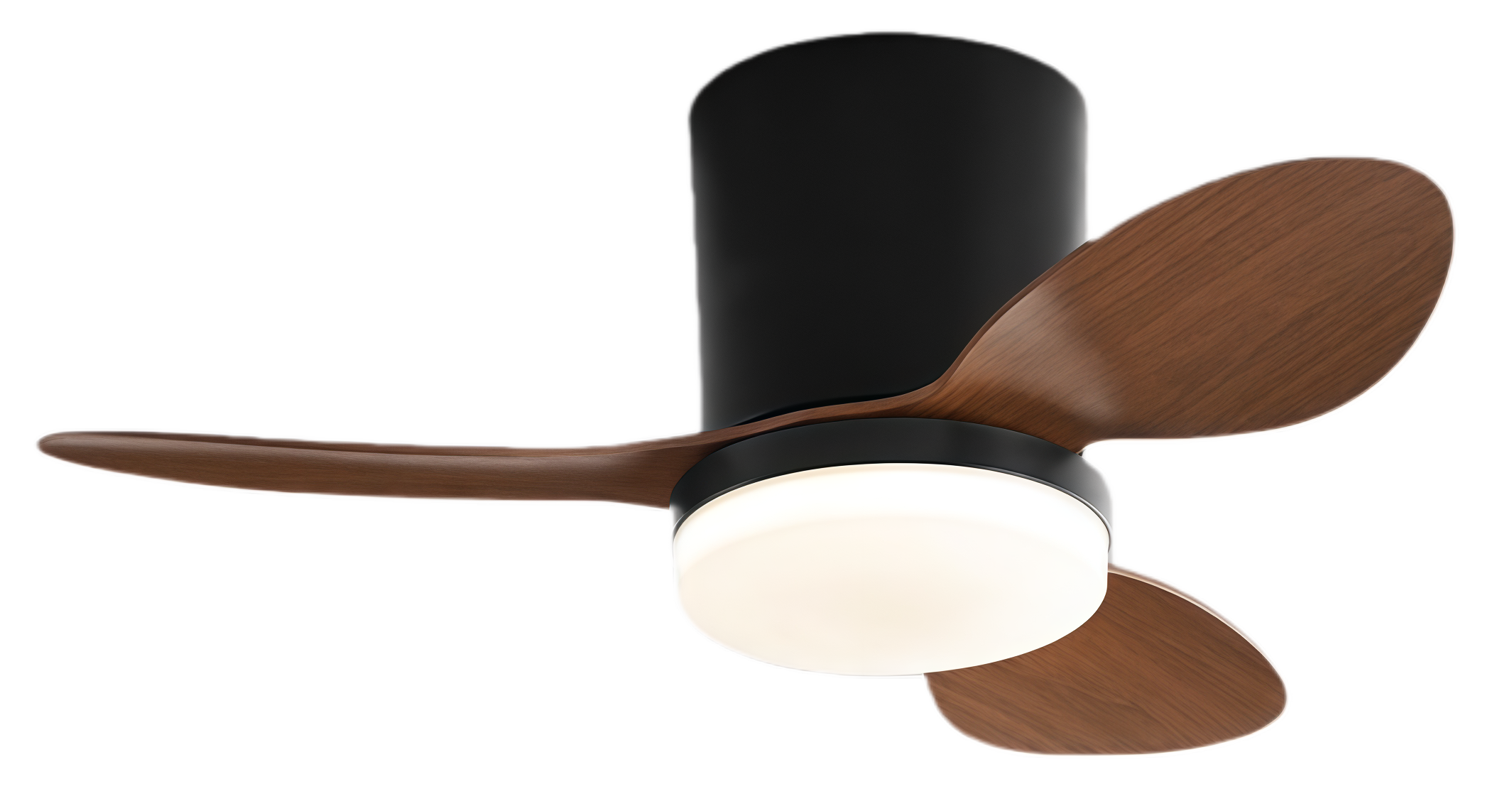 ไม้วอลนัท