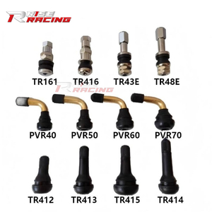 <span class=keywords><strong>Valve</strong></span> de pneu de voiture Rise TR412 TR161 TR48 EPVR70, <span class=keywords><strong>valve</strong></span> de pneu à vide pour <span class=keywords><strong>moto</strong></span>, <span class=keywords><strong>valve</strong></span> <span class=keywords><strong>coudée</strong></span> pour véhicule électrique - Product Image 1