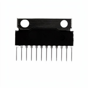 AN7522N มีสินค้าในสต็อก 12 SIP + Tab IC AMP CLASS AB STEREO 5W 12SIL ชิปอิเล็กทรอนิกส์ รายการชิ้นส่วนอิเล็กทรอนิกส์ - Product Image 1