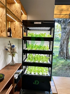 Slimme LED-<span class=keywords><strong>aquaponics</strong></span> kast voor binnen, kruidentuin, intelligente microgroenten aeroponische verticale hydroponische kweekset - Product Image 2