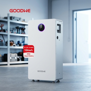 Batería de Litio LiFePO4 de 16 kWh Goodwe 51.2V 314AH, Paquete de Baterías de Almacenamiento de Energía Solar GW16.1-BAT-LV-G10 IP65, 10000 Ciclos, para el Hogar, CAN - Product Image 3