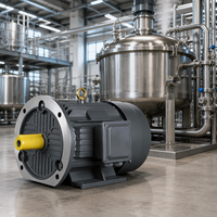 Moteur à induction triphasé étanche 18,5 kW 25 CV à réponse rapide pour réservoir agitateur