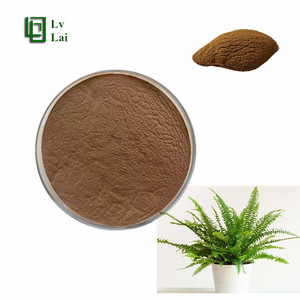 Extrait de poudre d'Adiantum <span class=keywords><strong>Capillus</strong></span>-veneris entièrement hydrosoluble de haute pureté - Grande quantité disponible - Product Image 1