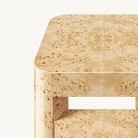 Table basse carrée Bardot en placage de bois, style moderne et luxueux pour salon, vente chaude d'usine, garantie 3 ans