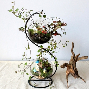 Di alta qualità moderno trasparente globo appeso vaso di vetro terrario alla rinfusa aria interna pianta fiore terrario <span class=keywords><strong>per</strong></span> la casa arredamento ecologico - Product Image 4