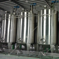 Machine automatique de fabrication de jus de papaye Machine de transformation du jus de papaye