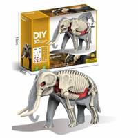 Kit de modèle d'anatomie d'éléphant 3D à faire soi-même, 38 pièces, squelette détachable, organes, jouet éducatif scientifique STEM pour enfants