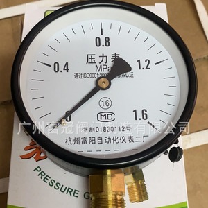 Fábrica de Instrumentos de Automatización de Hangzhou Fuyang No. Manómetro 2 Y100 0-1.6 Mpa para uso en agua, aceite e hidráulica - Product Image 2
