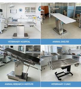 Table d'opération vétérinaire hydraulique en acier inoxydable avec support de perfusion pour examen et chirurgie des animaux - Product Image 4