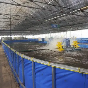 养鱼循环水产养殖系统，鲟鱼农场室内模块化组合水产养殖，热带鱼类孵化场