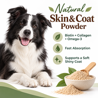 Bubuk Kulit & Bulu Alami untuk Anjing Penyerapan Cepat Biotin Kolagen Omega-3 Suplemen Hewan Peliharaan OEM ODM Label Pribadi