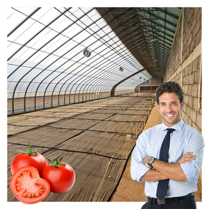 Serre agricole à faible coût à simple portée pour l'hivernage des plantes, mur en briques, isolation, structure de serre - Product Image 4