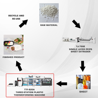 Mesin Thermoforming Otomatis 3 Stasiun untuk Wadah Makanan Cepat Saji PET/PP/PVC/PS yang Dapat Digunakan di Microwave, Baki Telur, Produktivitas Tinggi