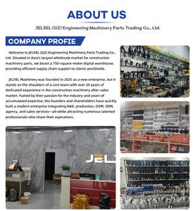 Fornitori di Ricambi per Escavatori JELXEL, Pompa di Iniezione Carburante Motore C7 20r-1635 20r1635 476-8766 4768766 per Pompa Carburante Escavatore Cat - Product Image 3