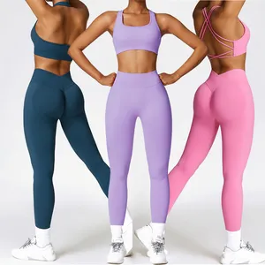 AOLA Gym Wear Women Sets Gym Apparel Sports Top Sport Dress Workout Sets For Women High Quality Seamless Workout Sets For Women