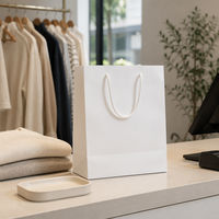 Sacs cadeaux personnalisés en carton ondulé robuste pour l'emballage de bouteilles et d'objets lourds