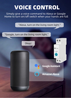 TUYA WIFI interrupteur intelligent disjoncteur 63A 1P mesure de puissance surveillance minuterie relais pour maison intelligente télécommande sans fil