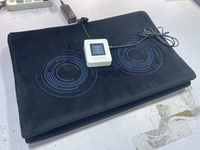 Tapis de chaise de thérapie par champ magnétique PEMF pour une guérison naturelle, le soulagement de la douleur et une bonne santé mentale